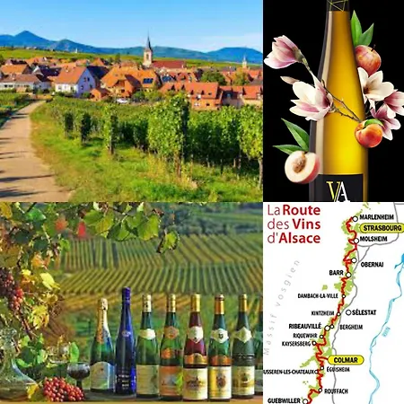 Apartamento Du Charme - Atypique Et Chaleureux Baldenheim